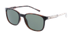 LUNETTES DE SOLEIL homme CAYETANO écaille - Vue de face
