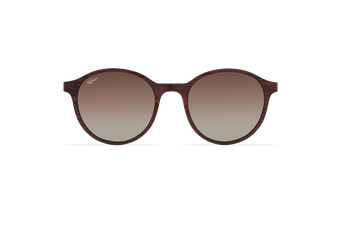 afflelou/france/products/smart_clip/clips_glasses/TMK37POBR014919.png