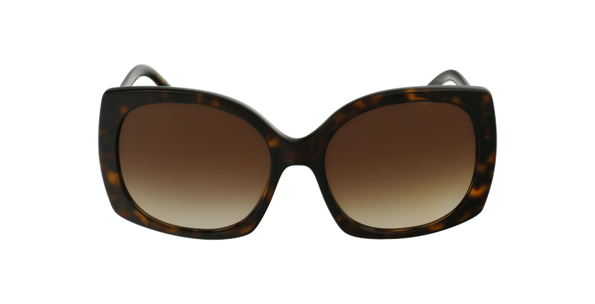 LUNETTES DE SOLEIL femme DG 4385 écaille - Vue de face