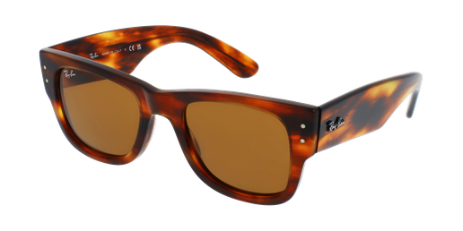 LUNETTES DE SOLEIL Mega Wayfarer RB0840S écaille
