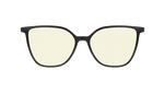 RC250YE01
