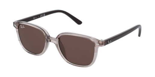 LUNETTES DE SOLEIL 0RJ9093S marron/gris