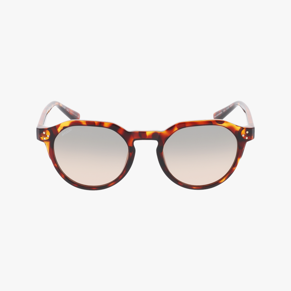 Lunettes de soleil CANTABRIA écaille - Vue de face