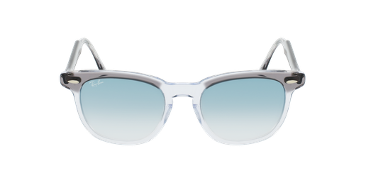 LUNETTES DE SOLEIL HAWKEYE gris/bleu