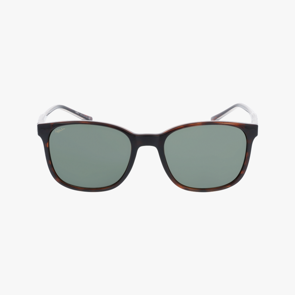 Lunettes de soleil homme CAYETANO écaille - Vue de face