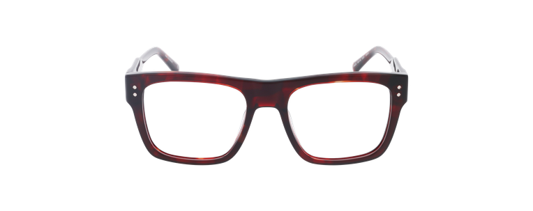 Lunettes de vue homme CARACTÈRES INGÉNIEUX écaille - Vue de face