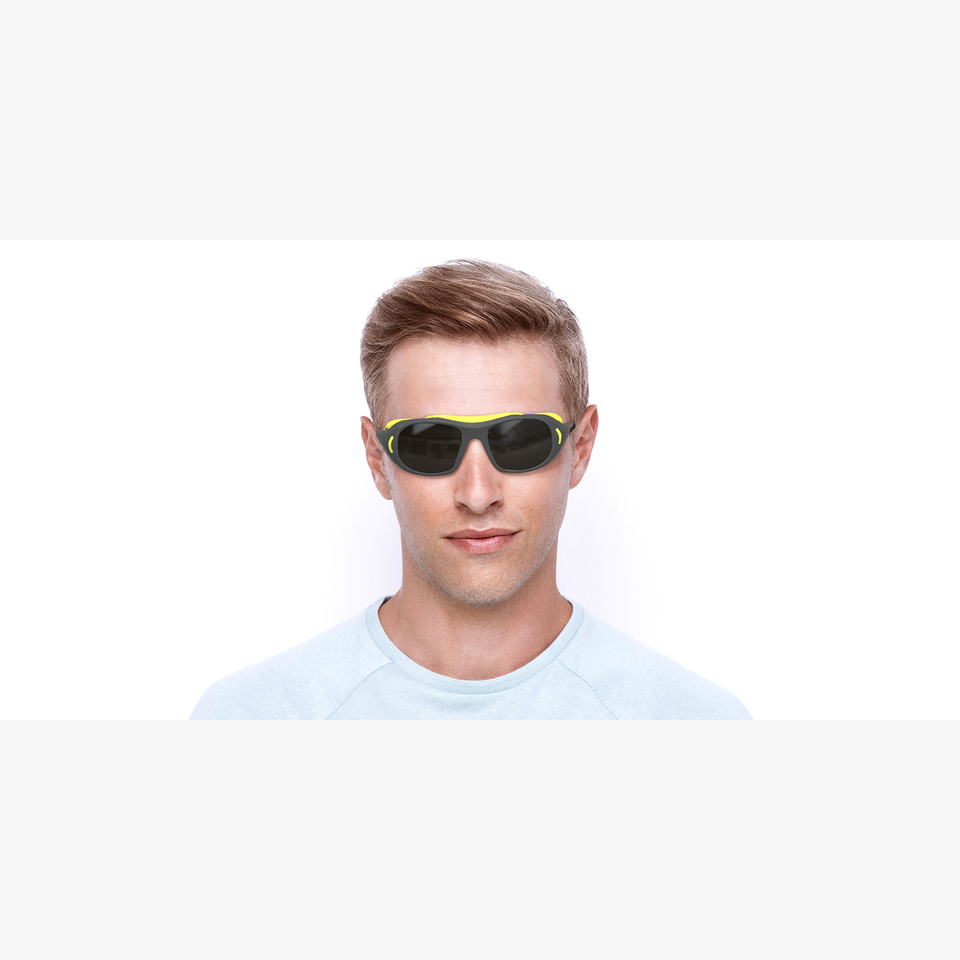 Lunettes de soleil Landmark gris - Vue de face