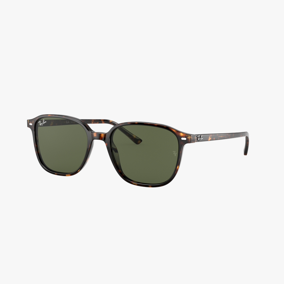 Lunettes de soleil RB2193 LEONARD écaille - Vue de face
