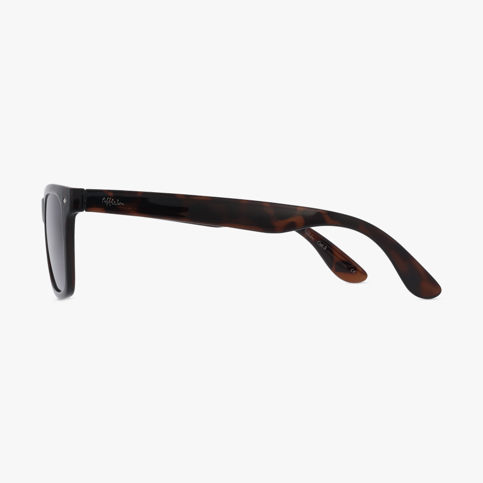 Lunettes de soleil DOMINGO écaille - Vue de face