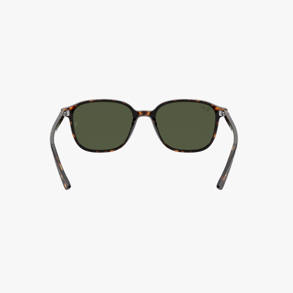 Lunettes de soleil RB2193 LEONARD écaille - Vue de face