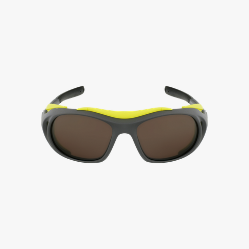 Lunettes de soleil Landmark gris Vue de face