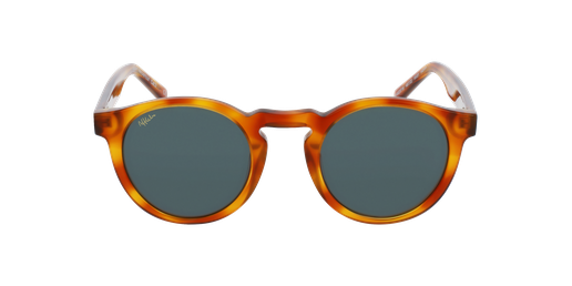 LUNETTES DE VUE CASTILLE écailleVue de face