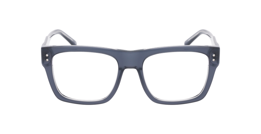 Lunettes de vue homme CARACTÈRES INGENIEUX gris/cristal - Vue de face