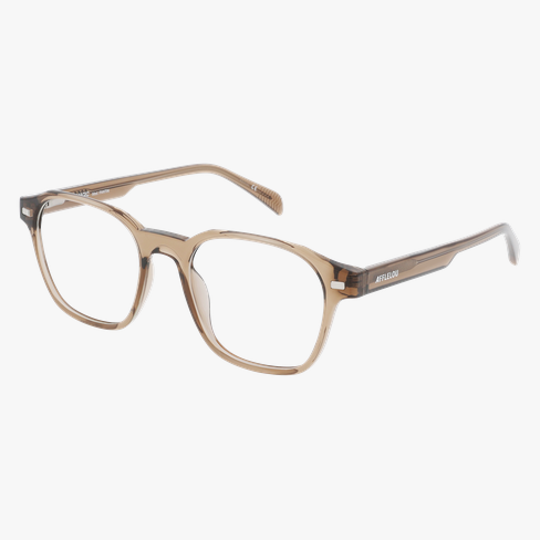 Lunettes de vue homme FANTIN marron