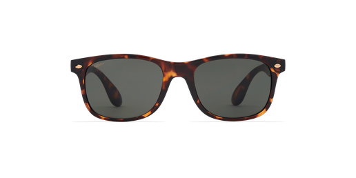 LUNETTES DE SOLEIL CARUCEDO écaille