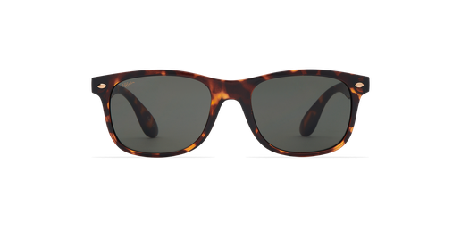 LUNETTES DE SOLEIL homme CARUCEDO écaille Vue de face