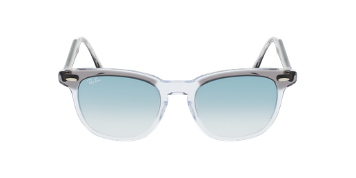 LUNETTES DE SOLEIL HAWKEYE gris/bleu