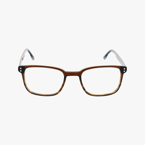 Lunettes de vue homme MAGIC210 marron Vue de face