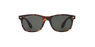 LUNETTES DE SOLEIL homme CARUCEDO écaille