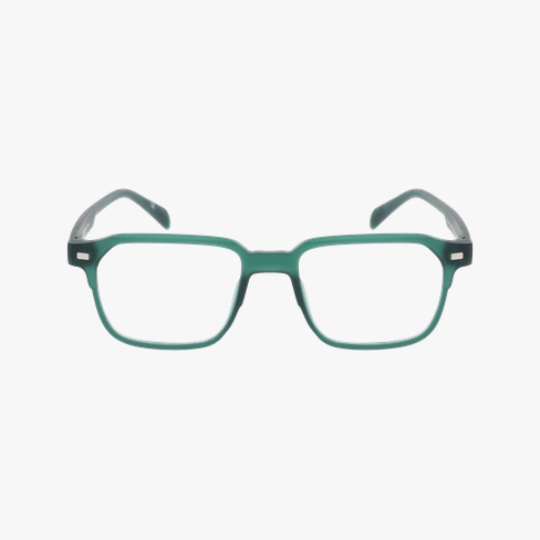 Lunettes de vue homme FIRMIN vert