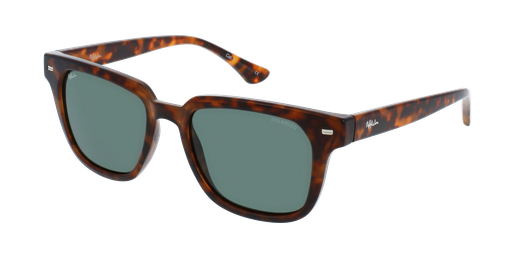 LUNETTES DE SOLEIL TOBY écaille