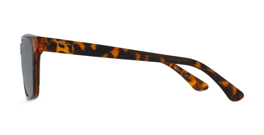 LUNETTES DE SOLEIL homme MIGUEL écaille - Vue de face