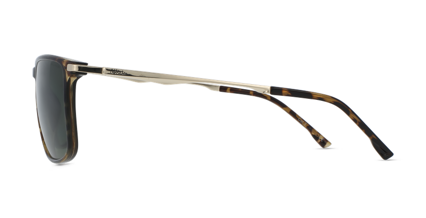 LUNETTES DE SOLEIL homme KAULI écaille/doré - Vue de face