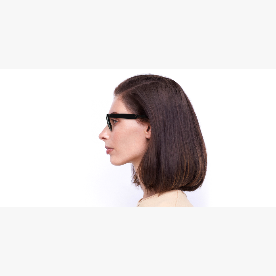 Lunettes de soleil WAYFARER écaille - Vue de face