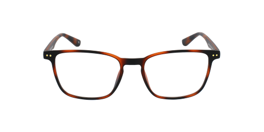 LUNETTES DE VUE homme ARTURO écaille