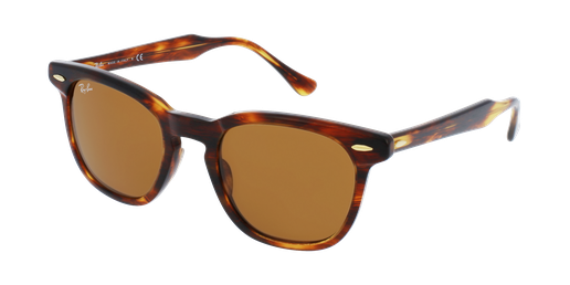 LUNETTES DE SOLEIL HAWKEYE écaille