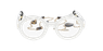 LUNETTES DE VUE femme PERSPICACE blanc