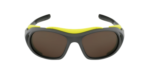 LUNETTES DE SOLEIL Landmark gris