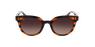 Lunettes de soleil femme VANNA marron