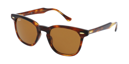 LUNETTES DE SOLEIL HAWKEYE écaille