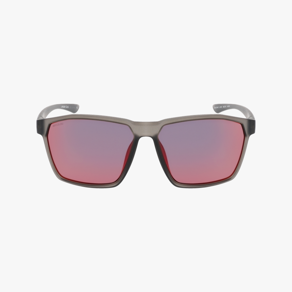 Lunettes de soleil homme DINO gris - Vue de face