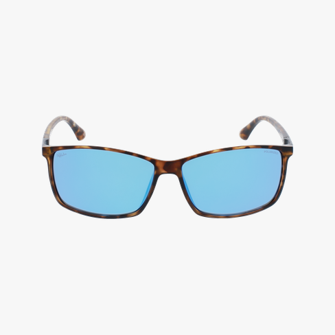 Lunettes de soleil homme SHAUN POLARIZED écaille Vue de face