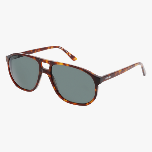 Lunettes de soleil homme TARVISIO écaille
