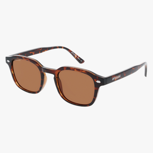 Lunettes de soleil homme NEVADA écaille