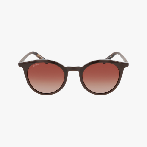 Lunettes de soleil GOYA marron
