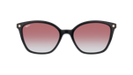 BC255POBR