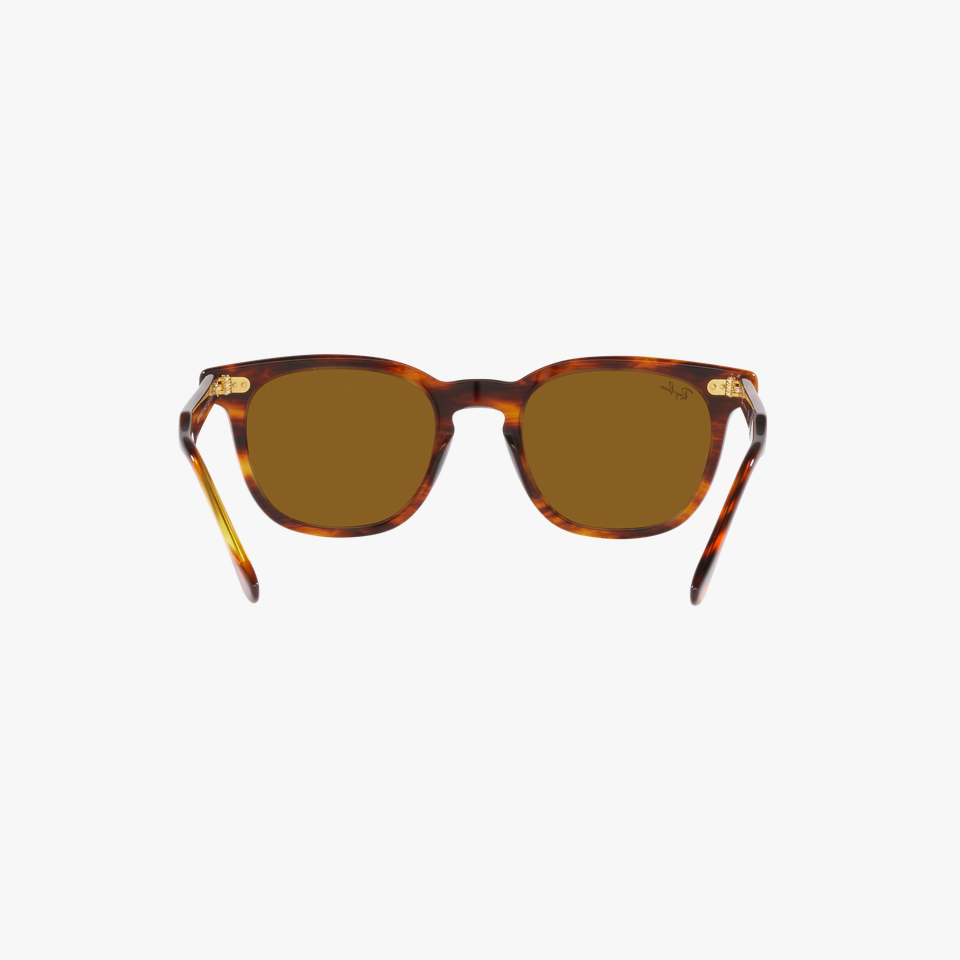 Lunettes de soleil HAWKEYE écaille - Vue de face