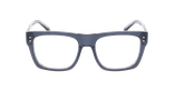 Lunettes de vue homme CARACTÈRES INGENIEUX gris/cristal - Vue de face