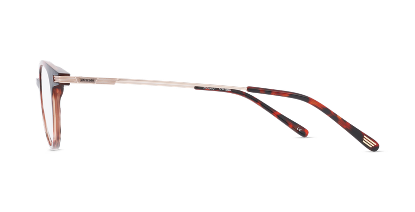 Lunettes de vue femme MAGIC248 écaille/marron - Vue de face