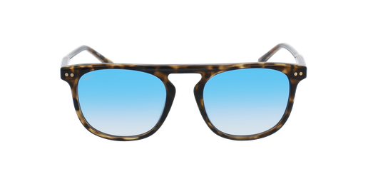 LUNETTES DE SOLEIL homme NEWARK écaille