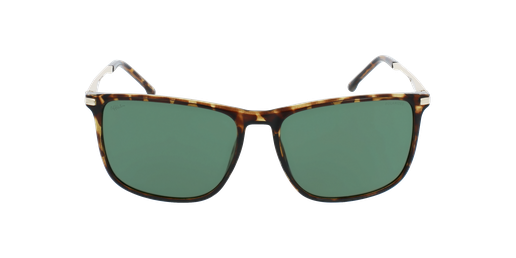 LUNETTES DE SOLEIL homme KAULI écaille/doréVue de face
