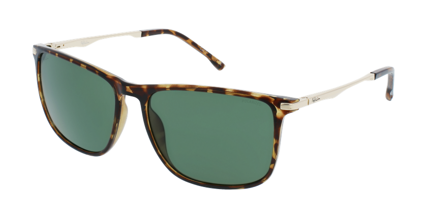 LUNETTES DE SOLEIL homme KAULI écaille/doré - Vue de face
