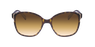 LUNETTES DE SOLEIL femme CONCEPTUAL écaille