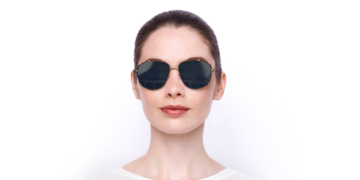 LUNETTES DE SOLEIL femme DIORMONSIEUR3 écaille/argenté