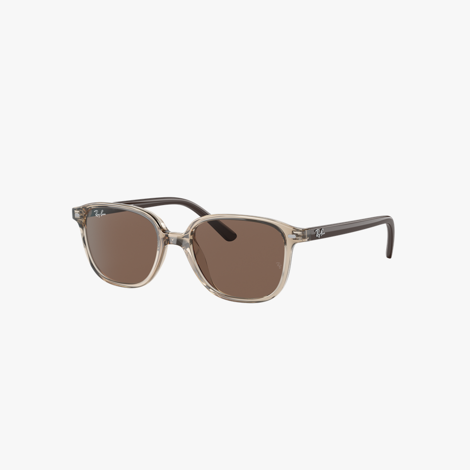 Lunettes de soleil 0RJ9093S marron/gris - Vue de face