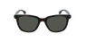 LUNETTES DE SOLEIL homme 1037/S écaille